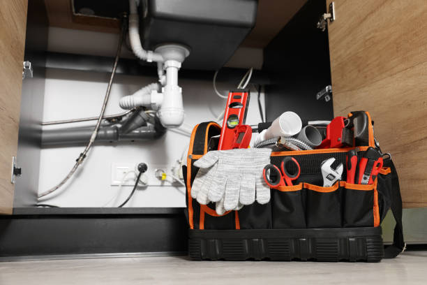 Best Septic Systems  in Beverly Hills, FL